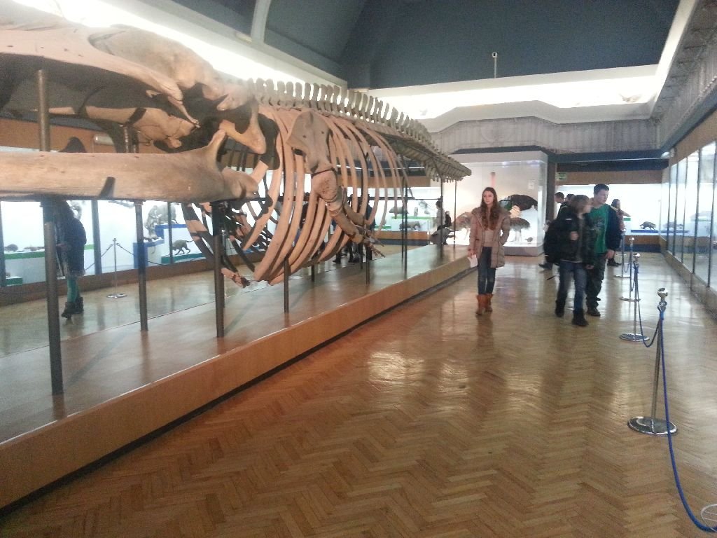 Miniaturka — 2013/2014 - Wycieczka do Wrocławia