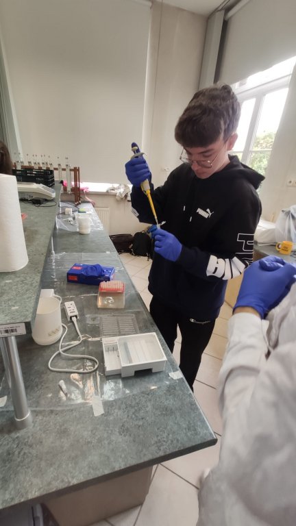 Miniaturka — 2025/2026 - Warsztaty w ramach Dolnośląskiego Festiwalu Nauki