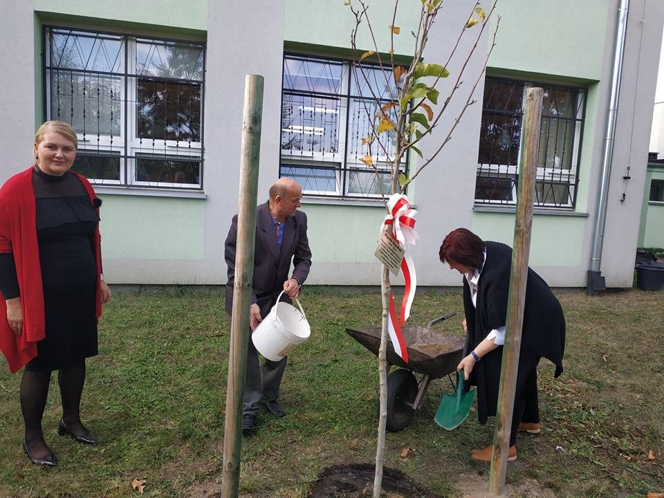 Miniaturka — 2018/2019 - Dzień Edukacji Narodowej