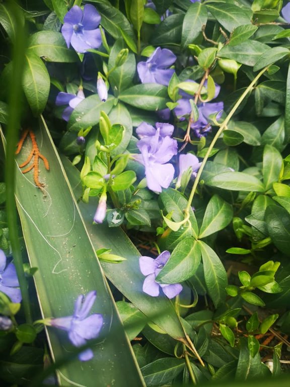 Miniaturka — 2019/2020 - WIOSNO, ACH TO TY!!!